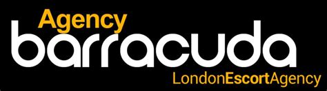 agency barracuda london|Barracuda Digital Agency 